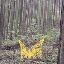 맑고 깨끗한 소리, 단소(2) | [전라도 여행] 무등산 편백자연휴양림 숙박 후기 편백숲 산책길, 선녀 족욕탕 체험