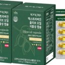 로얄트리 이미지