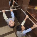 수원-0445 이미지