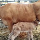 현우축산 이미지