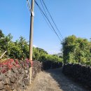 서호동-41 이미지