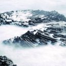 양남주상절리 이미지