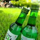 대청호대덕뮤직페스티벌 이미지