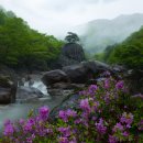 267차 부산 금수강산 산악회 경남 하동 의신계곡 물놀이 산행 안내 이미지