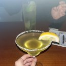 패러슈트(parachute) 이미지