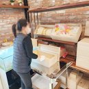 더드림동물병원 | 반려동물장례지도사 연봉 알려드림 입사 후 취업 후기