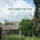 스프링폴카페