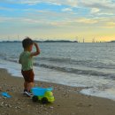 서해바다 이미지