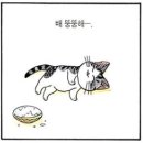 돈카라 이미지