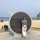 야생화의꿈 | 야생화의 천국 오직 곰배령을 위해 다녀온 강원도 여행 후기