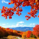 배화 어린이집 이미지