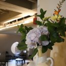 뮤트호텔 이미지