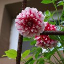 오전약수관광지 이미지