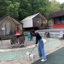 양지파인글램핑 이미지