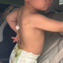 (주)웰콤 | 나에게 가장 힘들었던 13-14주