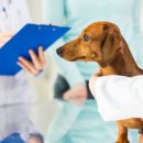 더봄동물병원 이미지