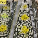 경상북도포항의료원 이미지