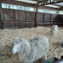 규현목장 이미지