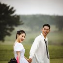 레이나그라피 화보스러운 제주 웨딩스냅 촬영 (+샤스타데이지)
