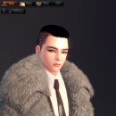 슈테른헤어 이미지