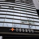 선릉동물병원 | 선릉동물병원 강추! 수년째 다니며 느낀 리얼 찐 후기🐶✨(내돈내산)