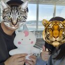 성산읍 고성 수협 | 가을 제주도 태교여행 4박5일 코스