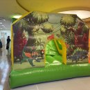 나무에서 이미지