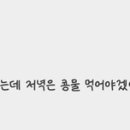 여르메