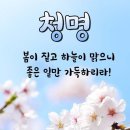 청명 이미지