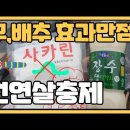 막걸리 + 사카린을 이용한 천연살충제 만드는법 이미지