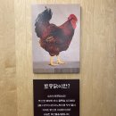 토닭 숯불구이 네이버블로그