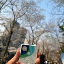 잠실 석촌호수 산책하며 힐리월드코리아 힐리 Healy하기