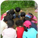 대자연어린이집 이미지