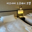 도큐모텔 | 마쓰야마 숙소 추천 도큐레이 호텔 가성비, 위치로는 최고!