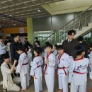 세종의 아침 태권도(나성관) 이미지