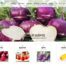 녹색농부팜스 이미지