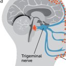 김진수내과의원 이미지