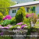 청풍마을펜션 이미지