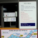 면목동 느티나무 | [속초400km코스] 서울숲에서 팔당역까지