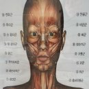 도도테라피 - 부천시 원미구 중동로254번길 35 | 도도테라피