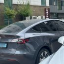 크리닝마트 | 성남 위례 세차 잘하는곳 : 판도피아 실내크리닝 전문점 테슬라 모델y 폴리싱 후기