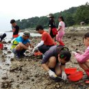 설리어촌체험마을 이미지