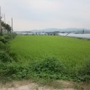 여주-1074 이미지