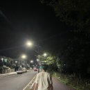 서귀포소방서 | 제주 일주일살이 ♩ 서귀포 혁신도시 카페&amp;맛집 추천(오늘의 바다, 루스트플레이스, 비브레이브 혁신...