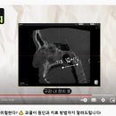 서울대방내과 네이버블로그