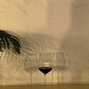 Thanku(땡큐) | [부평 술집] 루프탑 와인바 와인파인땡큐 후기 | 6월 콜키지 프리!