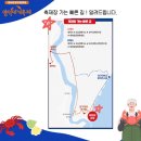 강구대게축구장 이미지