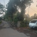 표선면 세화리 이미지