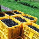 부경농장 이미지