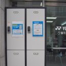 팔구스포츠